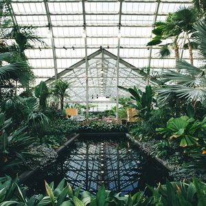 啊轻点灬大巴太粗太长www91
